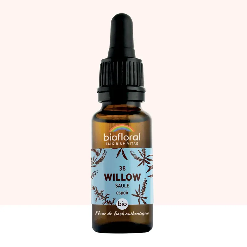 N°38 Saule / Willow 20ml