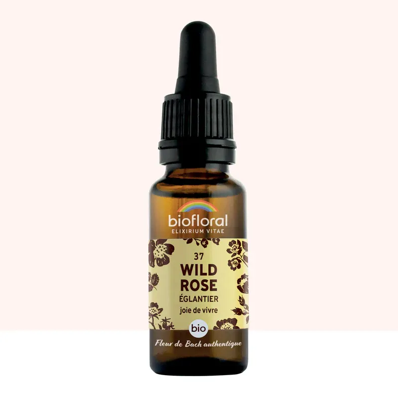N°37 Eglantier / Wild-Rose 20ml