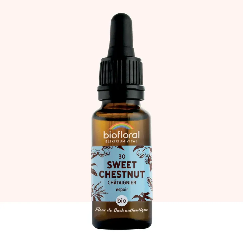 N°30 Châtaignier / Sweet Chestnut 20ml