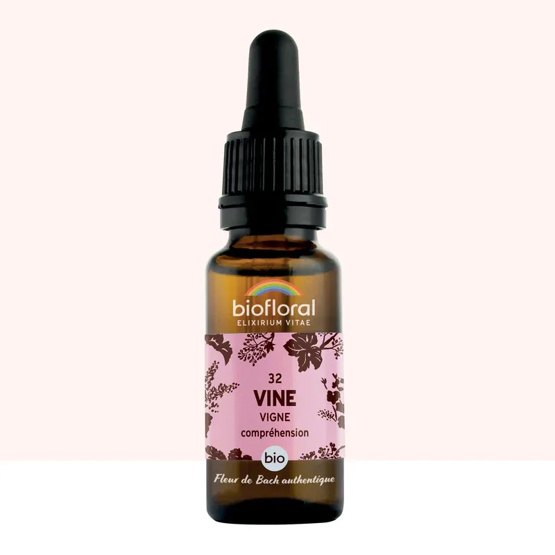 N°32 Vigne / Vine 20ml
