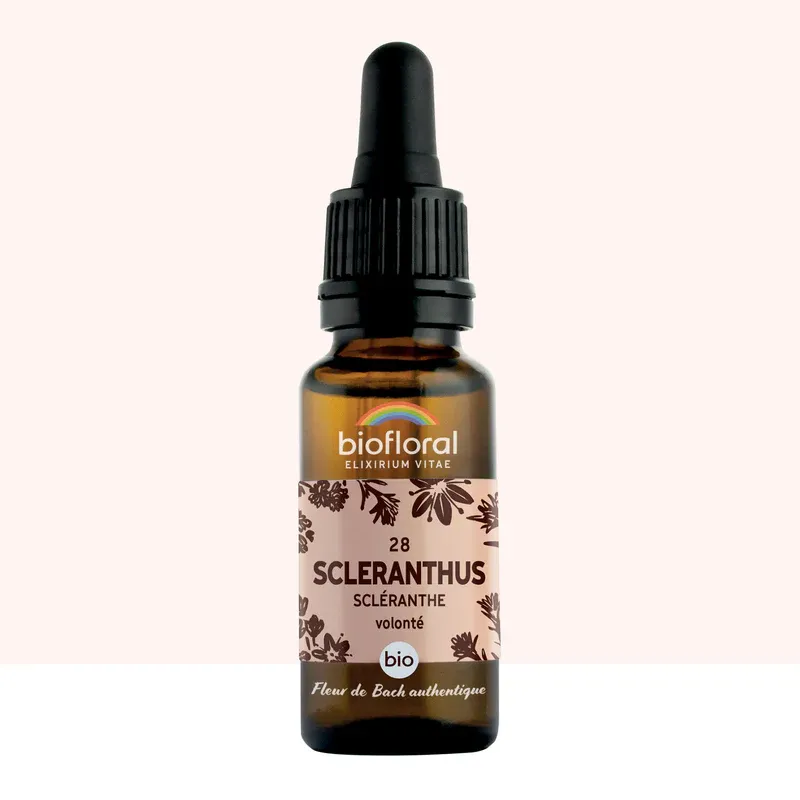 N°28 Gnavelle / Scleranthus 20ml