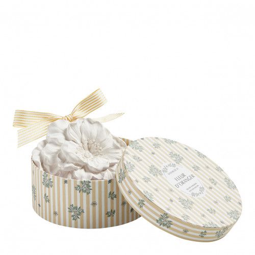 Coffret Fleur parfumée Les Intemporelles en Fleurs - Rose Élixir
