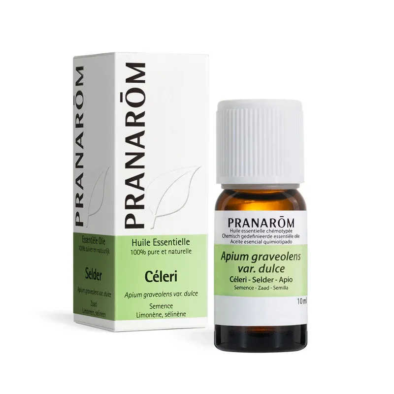 Huile Essentielle de Cèleri 10ml - Pranarôm
