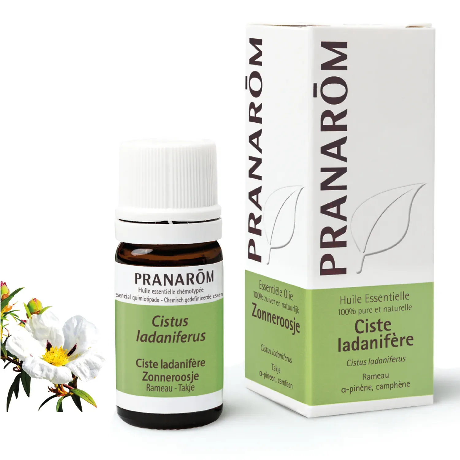 Huile Essentielle de Ciste Ladanifère 5ml - Pranarôm
