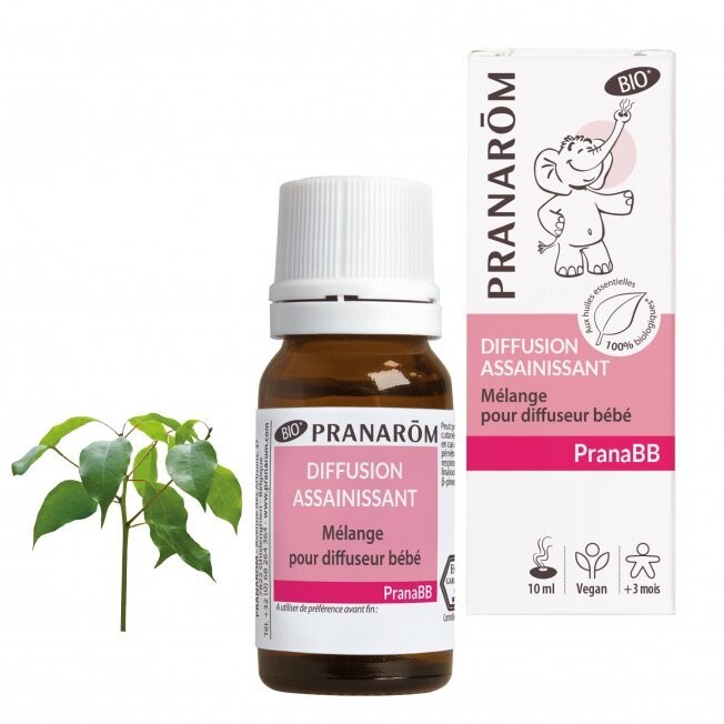 Diffusion Assainissant 10ml Bio - Pranarom