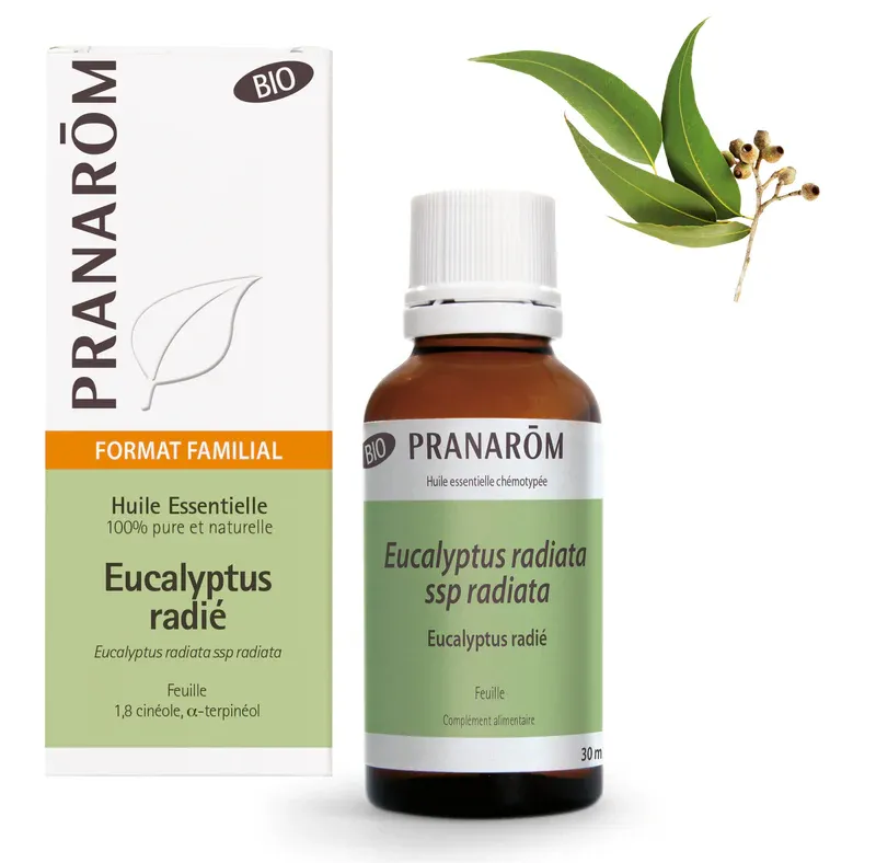 Huile Essentielle Eucalyptus Radié BIO 30ml - Pranarôm Huile Essentielle Eucalyptus Radié BIO 30ml - Pranarôm