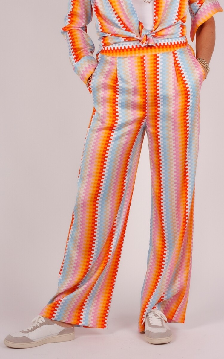 Herzen&#39;s broek multi colour