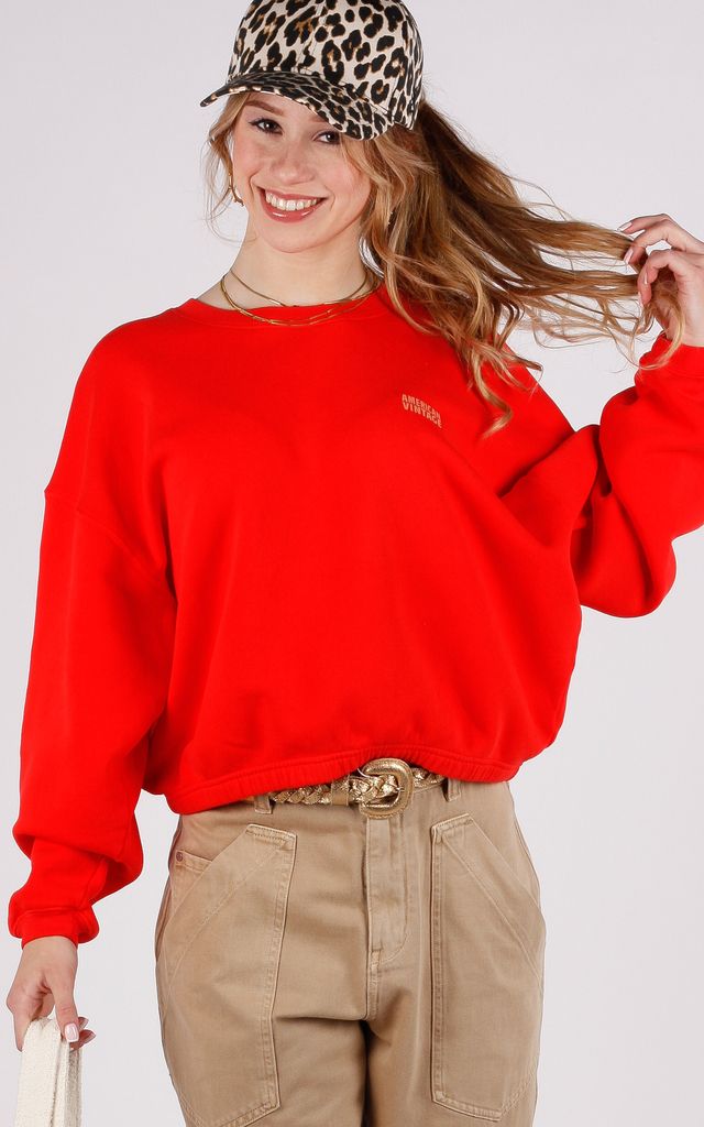 American Vintage sweater Izubird