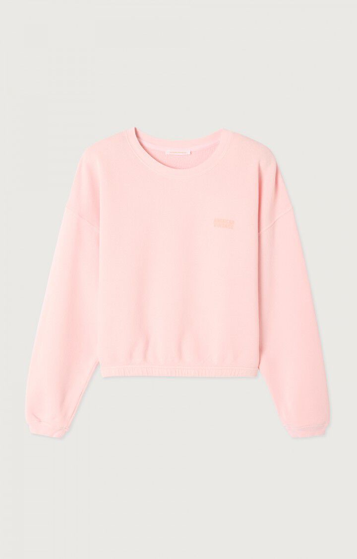 American Vintage Izubird sweater