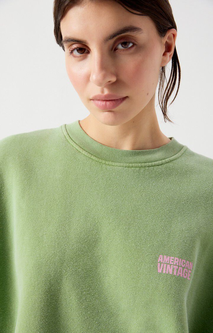 American Vintage sweater Plizzy