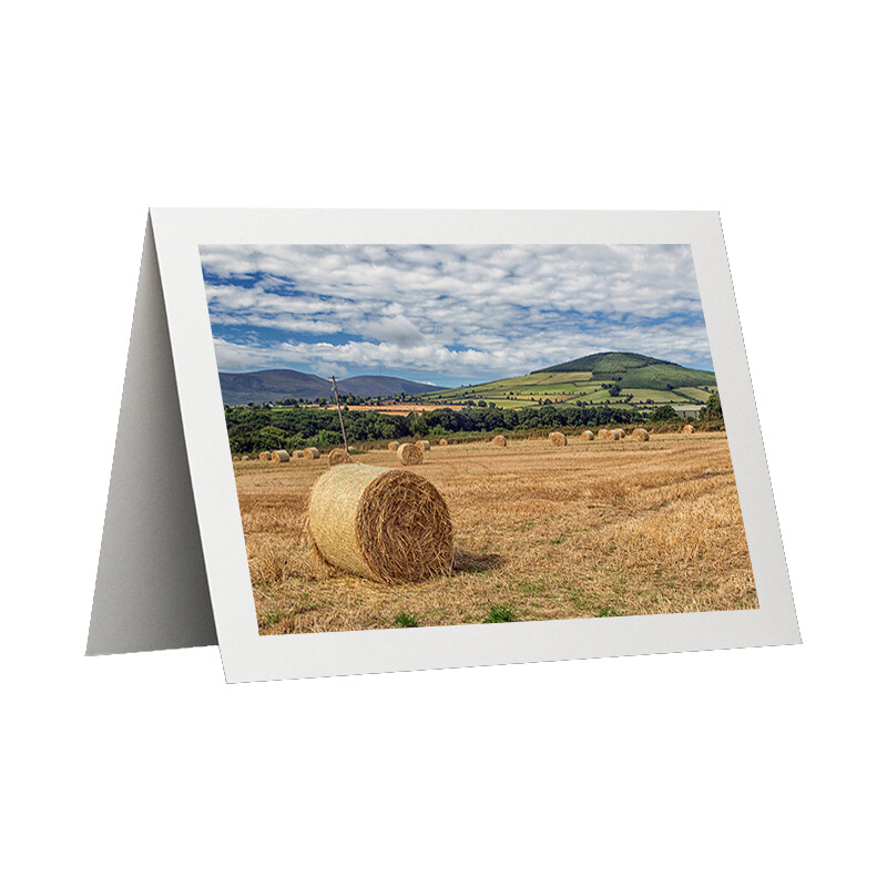 Photo Card - Hay Bales