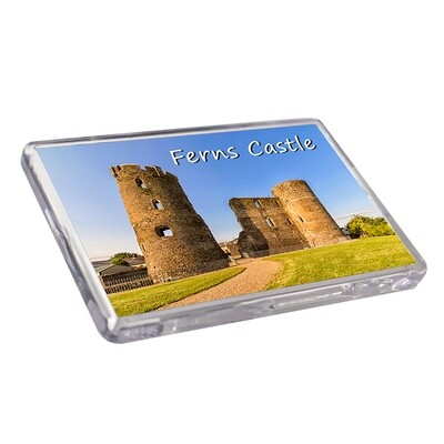 Fridge Magnet - Ferns Castle