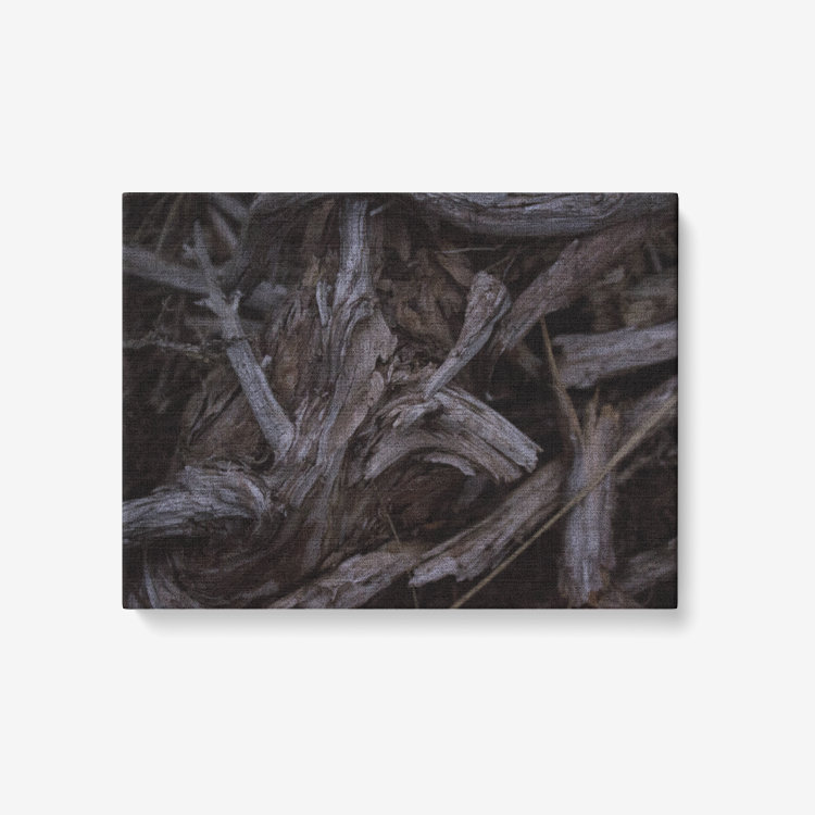 &quot;Dead or Alive&quot; Canvas Print