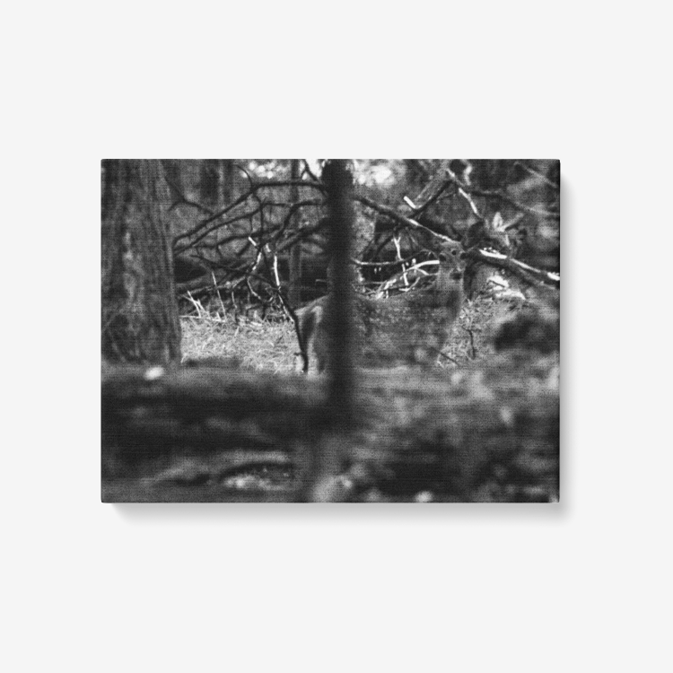 &quot;The Oracle&quot; Canvas Print