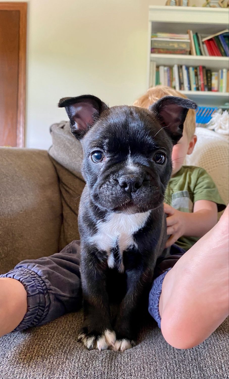 Frankie