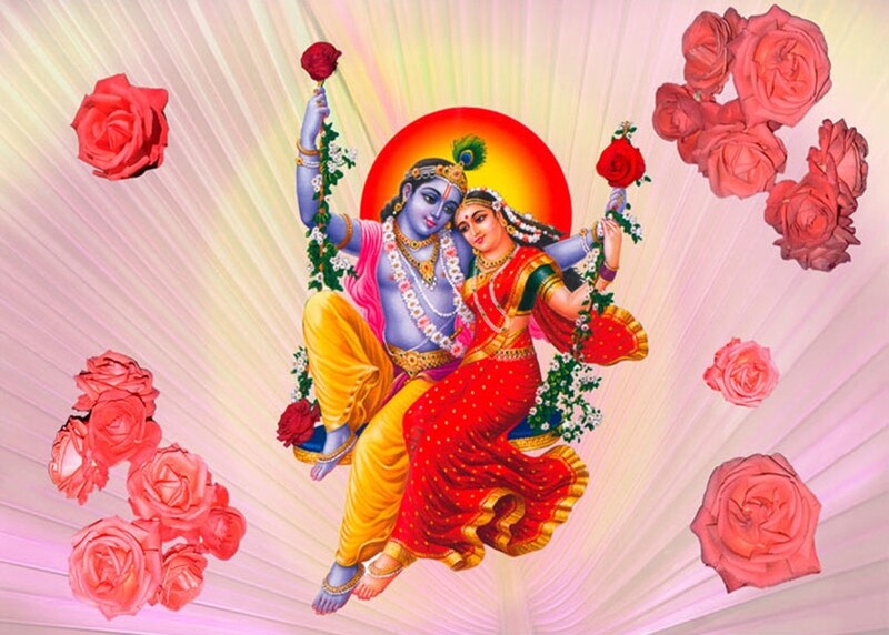 Radha Krishna Rosa, Lila, Gul, Turkos, Grön