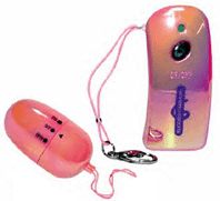 Wireless Remote Controlled Egg