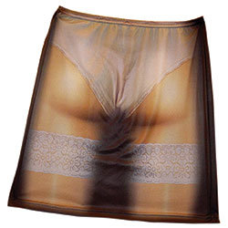 See Through Skirt