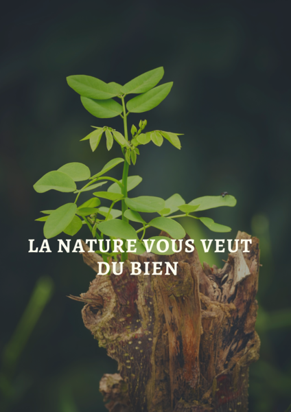 La nature vous veut du bien