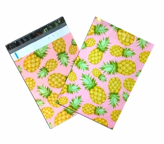 10×13 Printed Polymailers