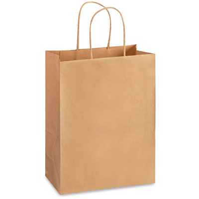 Brown 10×13 Paper Bags