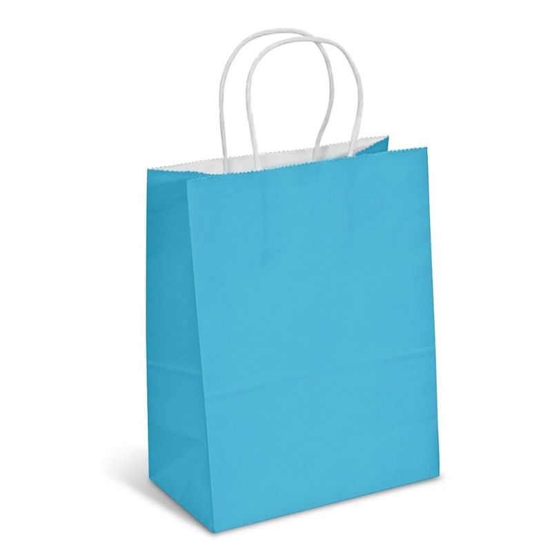 Light Blue 8×10 Kraft Bags