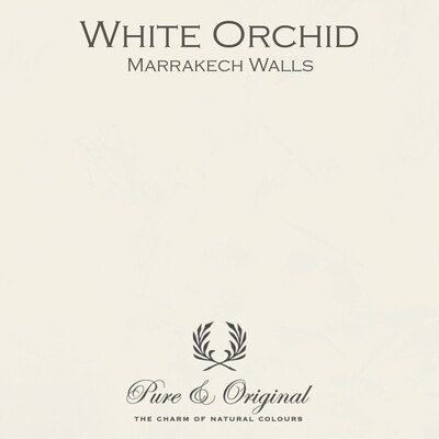 Marrakech Walls White Orchid