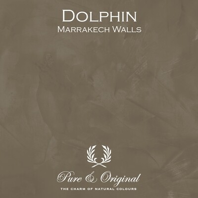 Marrakech Walls Dolphin