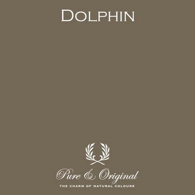 Dolphin (A5 Farbmusterkarte)