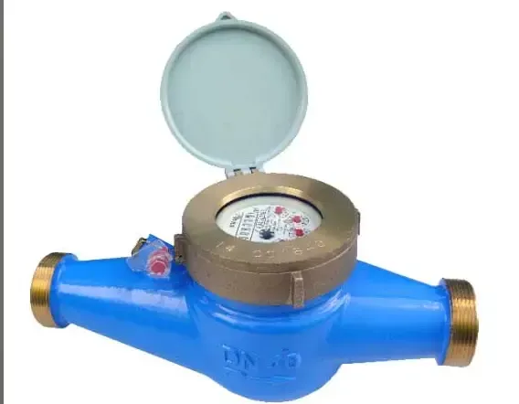 AquaMotion MJ-SDC Dn32 MULTI-JET WATER METER (COLD) DRY DIAL 1 1/4"