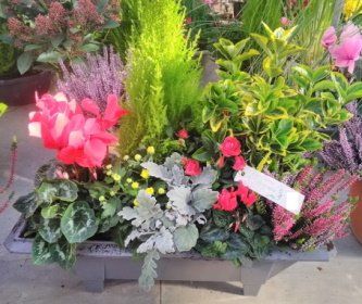 jardiniere et coupe de plantes d'exterieur de saison