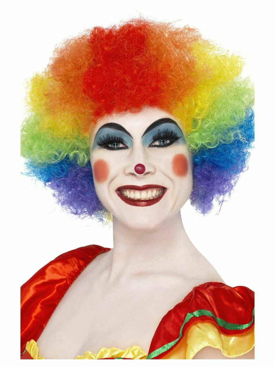 Clown Wig  (Multi Colour )