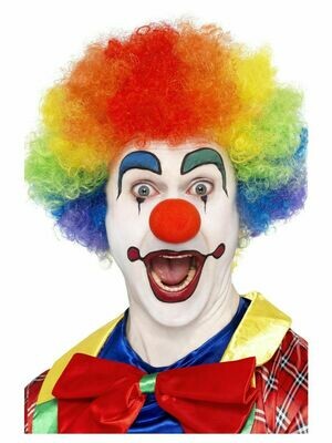 Clown Wig  (Multi Colour )