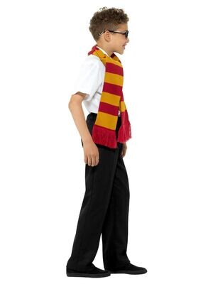 Schoolboy Kit, Gold &amp; Red, with Scarf, Tie &amp; Glasses" - One size
