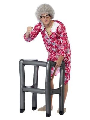 Inflatable Zimmer Frame - Walking frame Silver