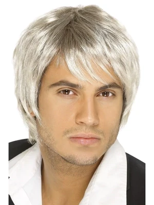 BOY BAND WIG, BLONDE &amp; BROWN