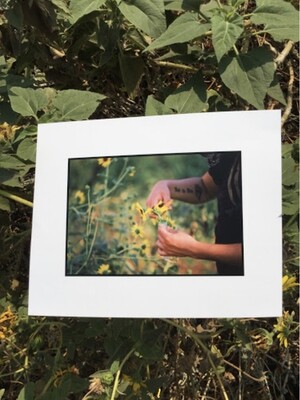 Collecting Sunwild Flowers. Riverside, CA . 2020 . Adrian Dizon