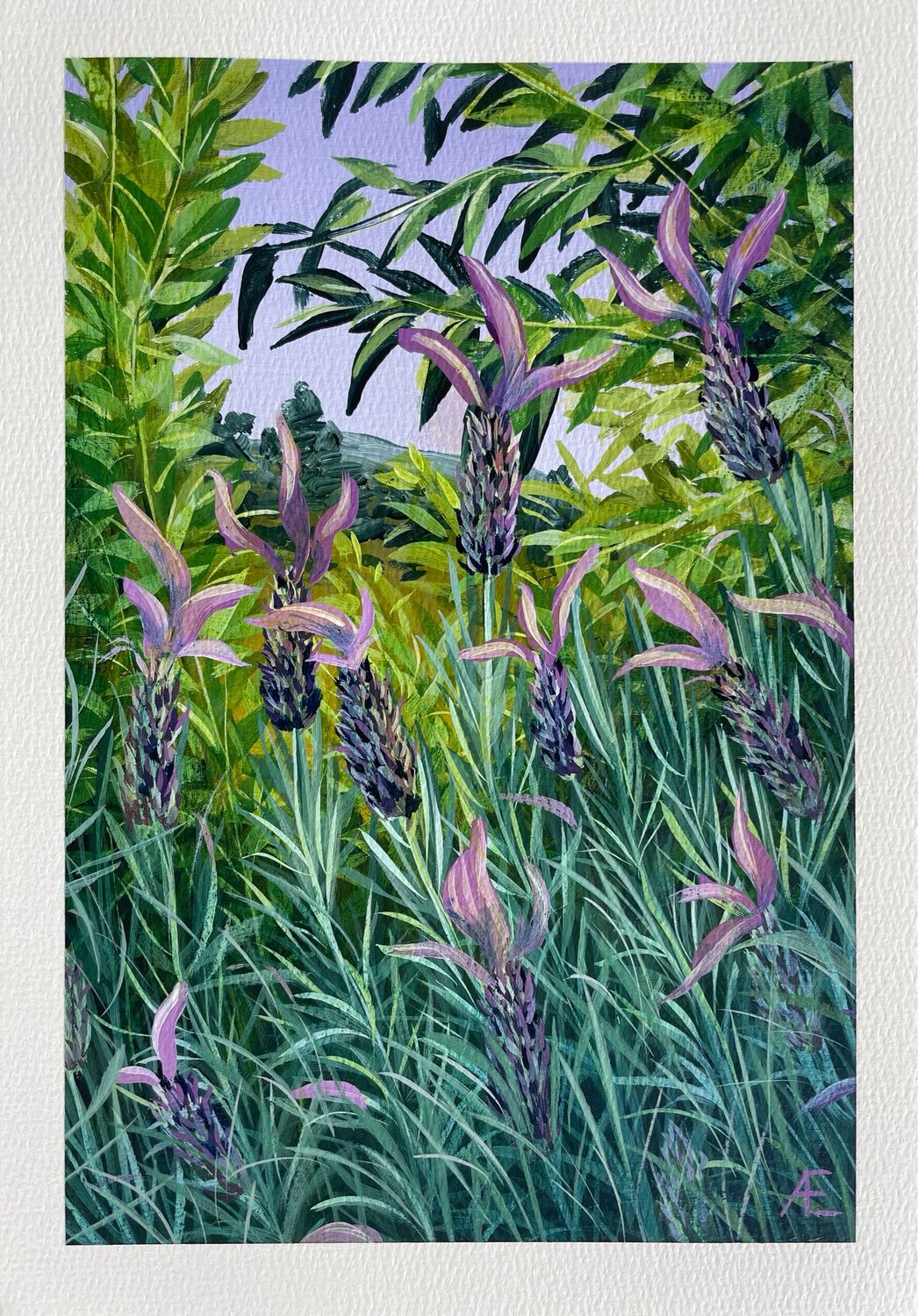 Day 20