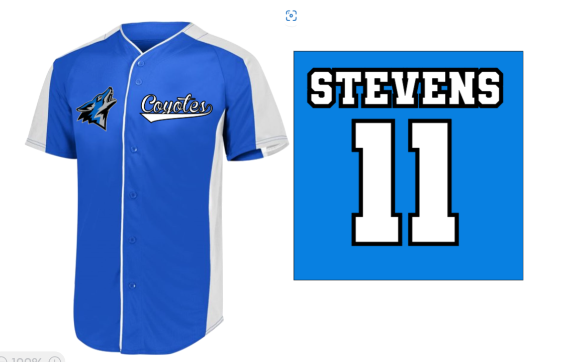 Custom Coyotes Jersey