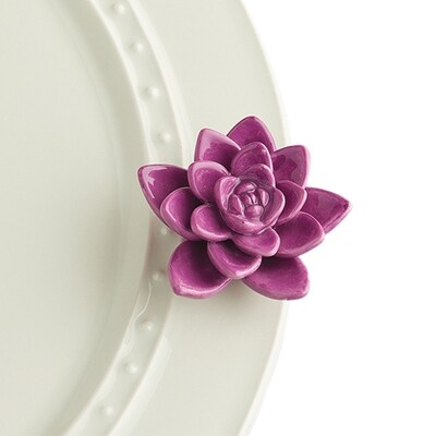 Mini's - Flower Purple (Succulent)