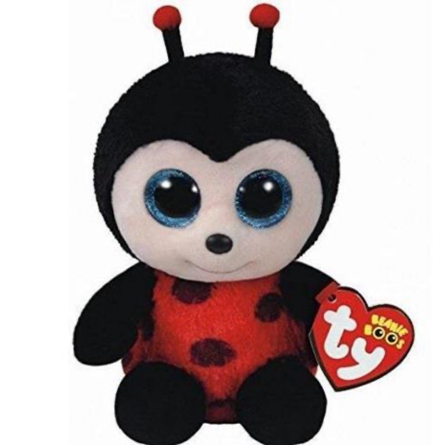 Izzy