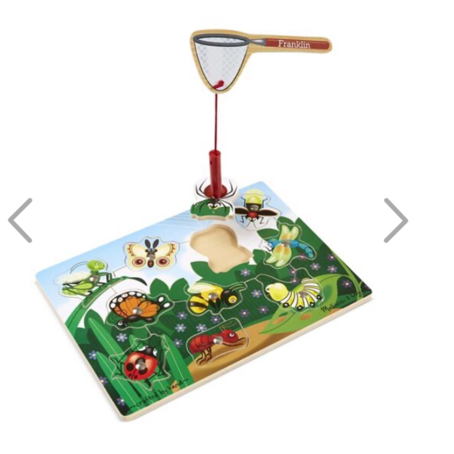 Bug Catching Game