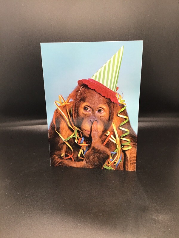 Birthday Orangutan