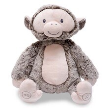 Peaceful Jungle Monkey