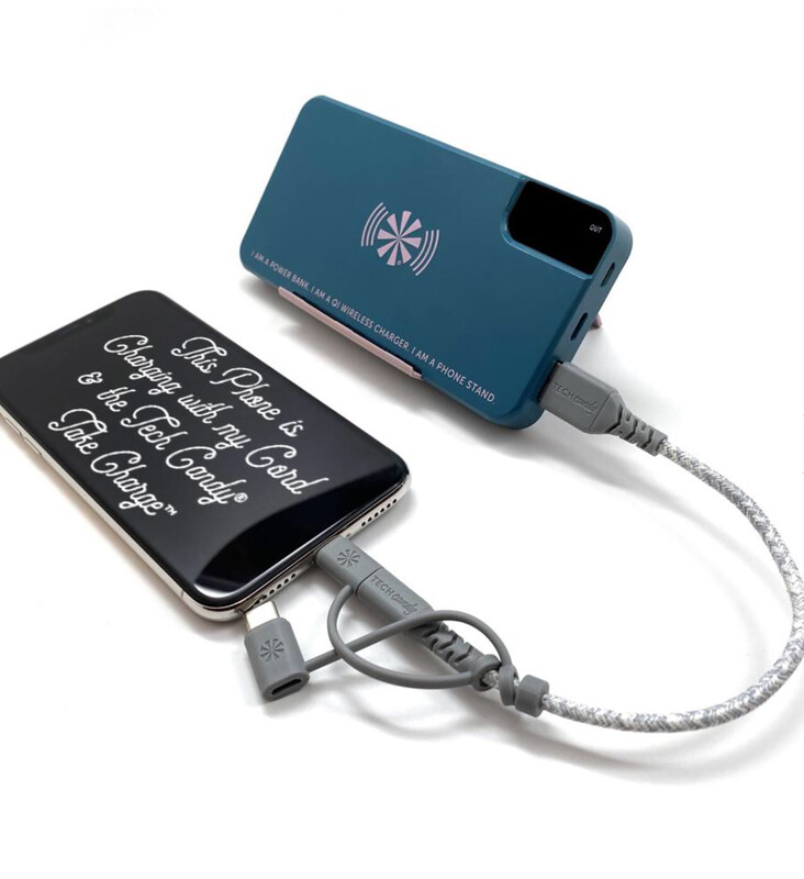 Take Charge Power Bank Teal/Rose Gold