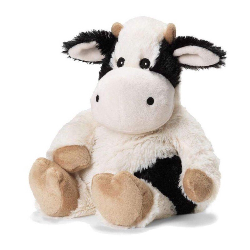 Black & White Cow