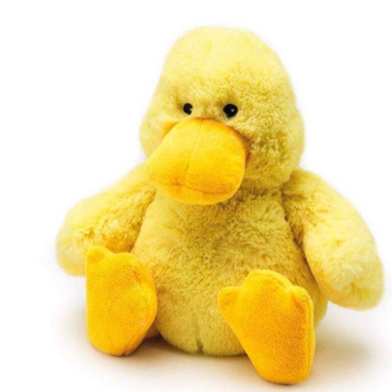 Junior Duck