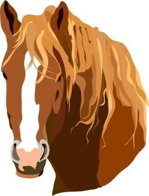 Horses, Bull Head & Rodeo