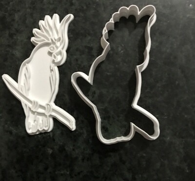 Cockatoo