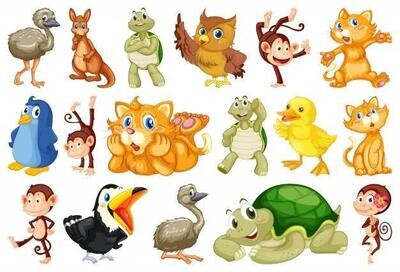 Cute Animals